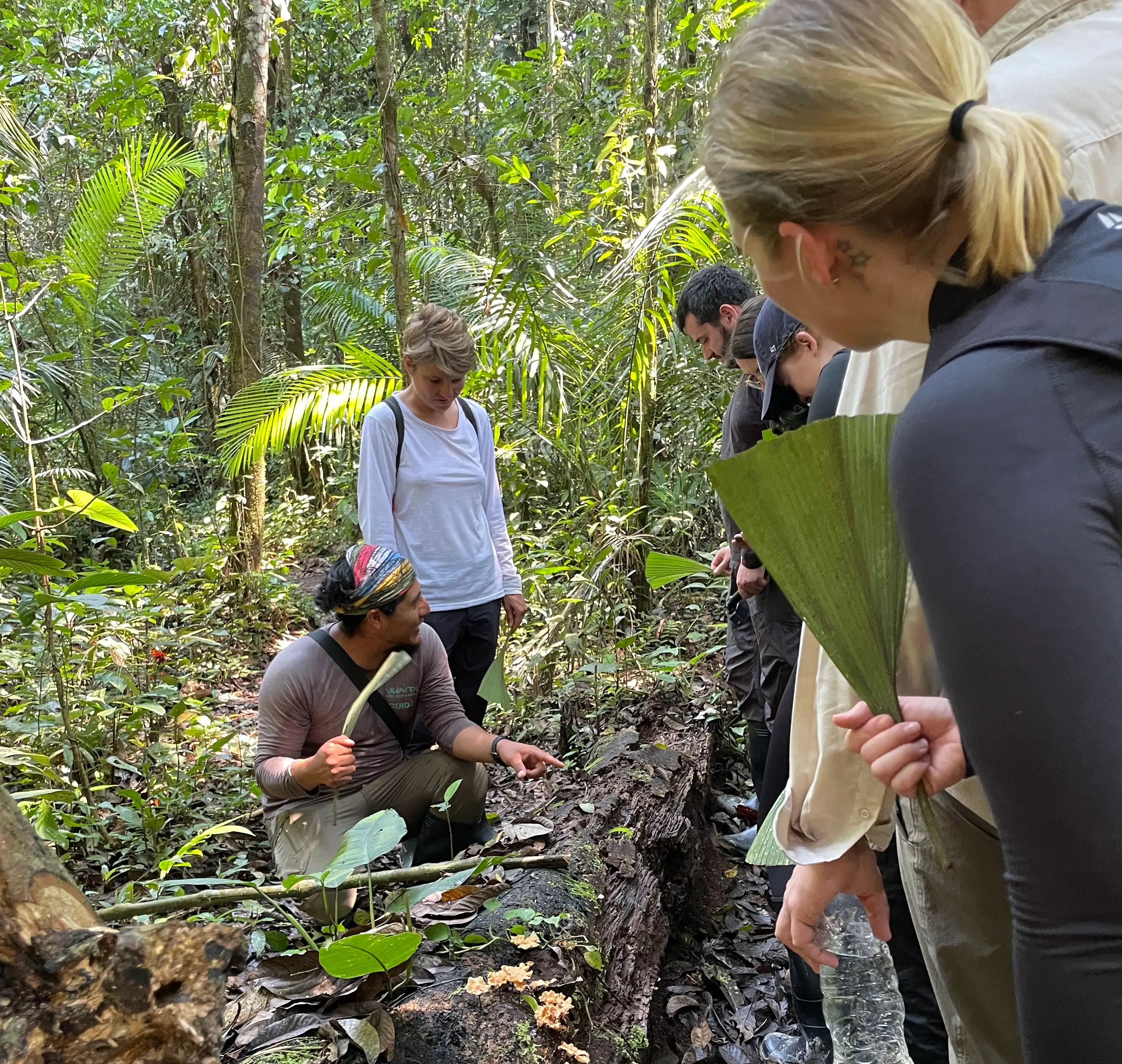 Waita Lodge Day 3 - Canoe tours, Bird Observation Tower & Night walk by Ecuatraveling