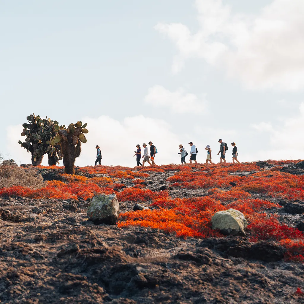 Galapagos 4 - Santa Fe Island & South Plaza Island  by Ecuatraveling