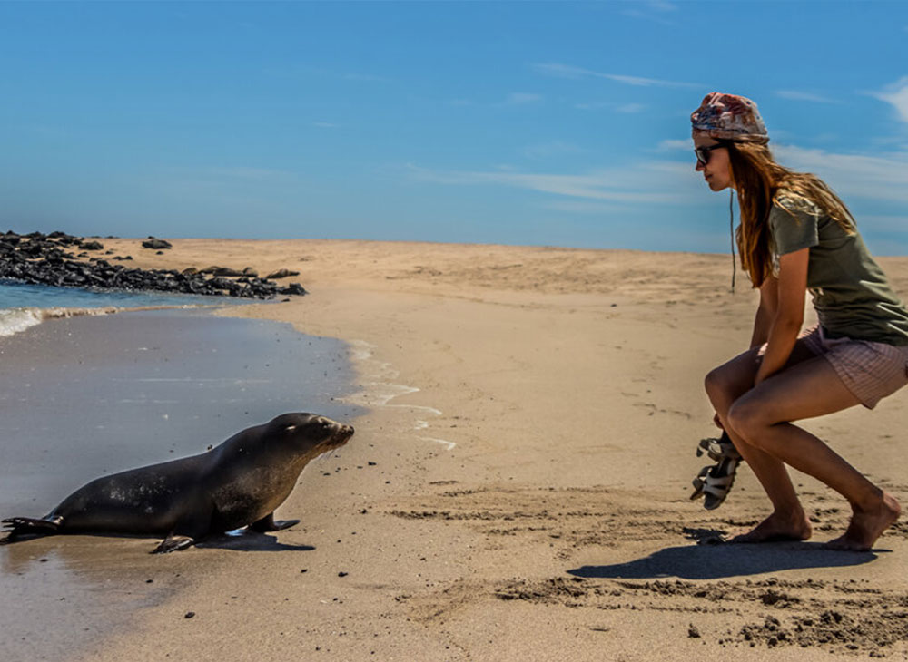 Ecuatraveling - Ecuador & Galapagos Tours