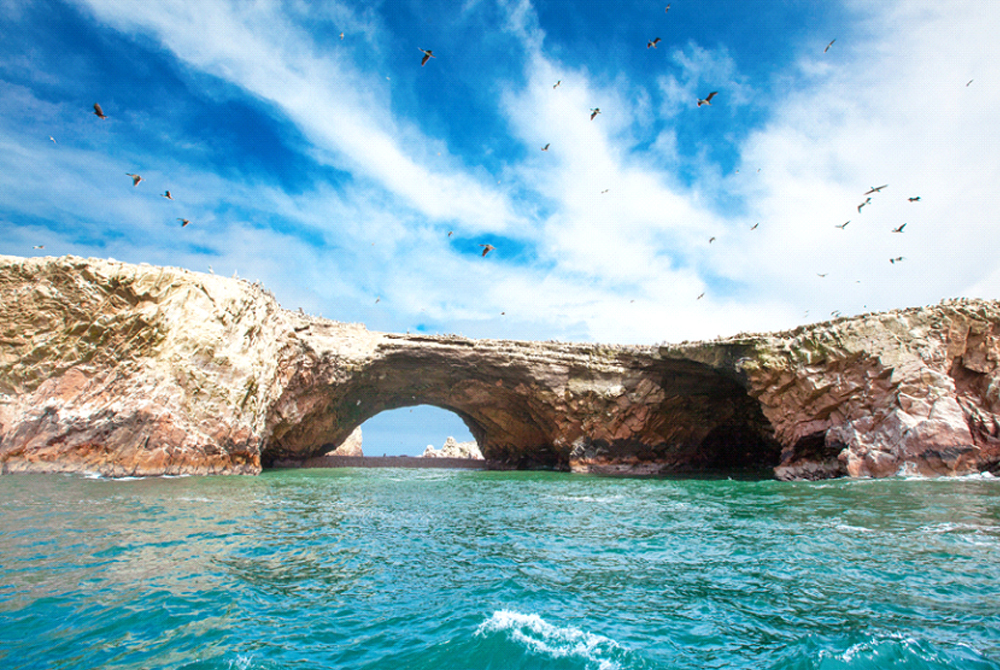 Ballestas island & Paracas national reserve by Ecuatraveling